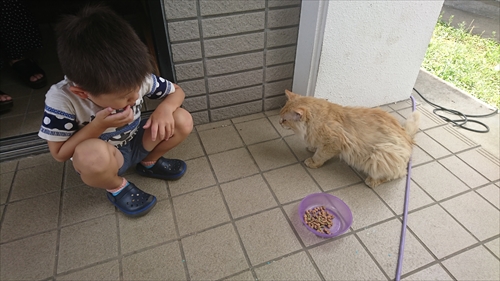 28日・トラ現る！